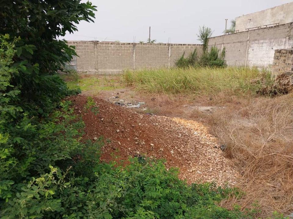 Vente d'un Terrain : Cotonou (zogbo)