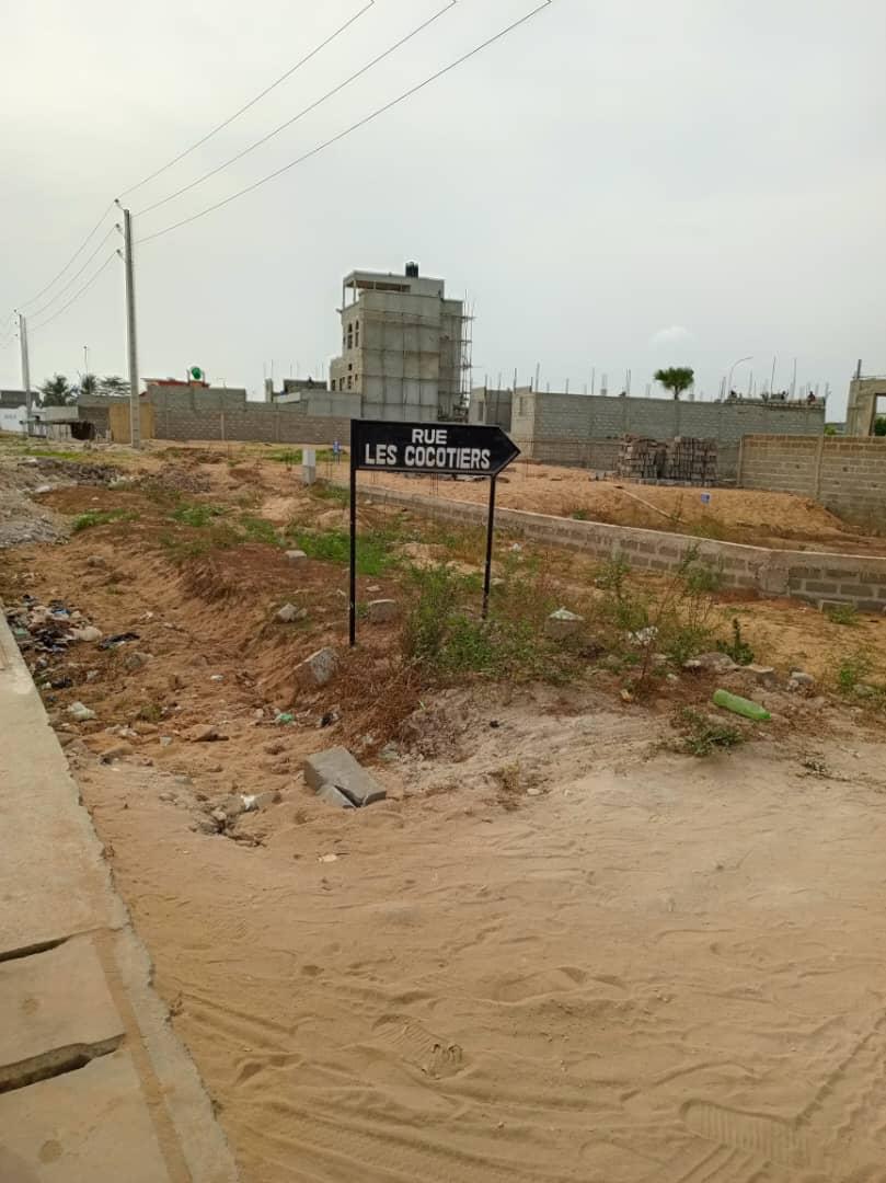 Vente d'un Terrain : Cotonou (Togbin)