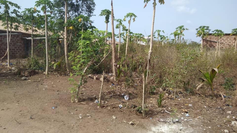 Vente d'un Terrain : Atlantique-Abomey-Calavi (Togba)